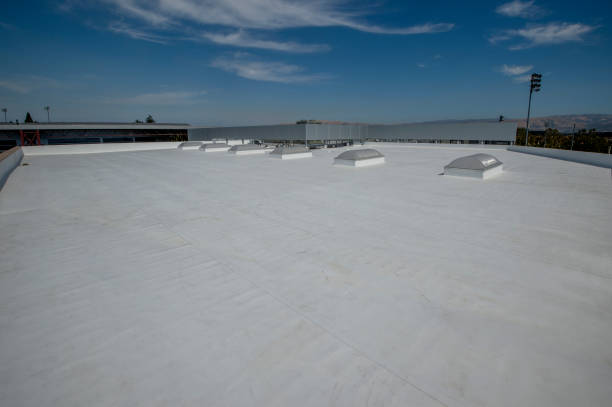 Best Roof Coating and Sealing  in Forest View, IL