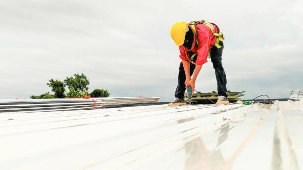 Reliable Forest View, IL Roofing Service Solutions