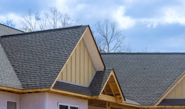 Best Emergency Roof Repair Services  in Forest View, IL