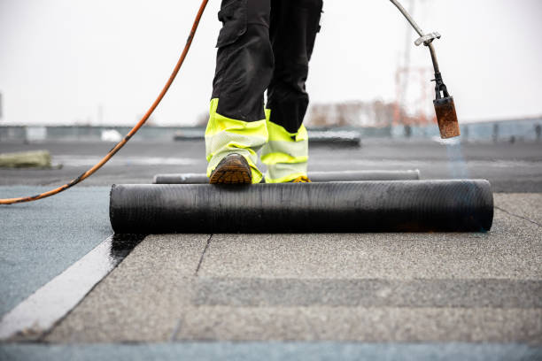 Best Skylight Installation and Repair  in Forest View, IL