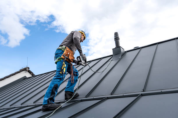Best Roof Ventilation Installation  in Forest View, IL